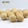 Top quality bulk raw Xinjiang Walnut In Shell